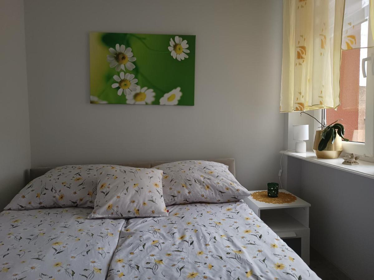 Szmaragdowy Apartament Przy Ulicy Opolskiej Tarnowskie Góry Esterno foto
