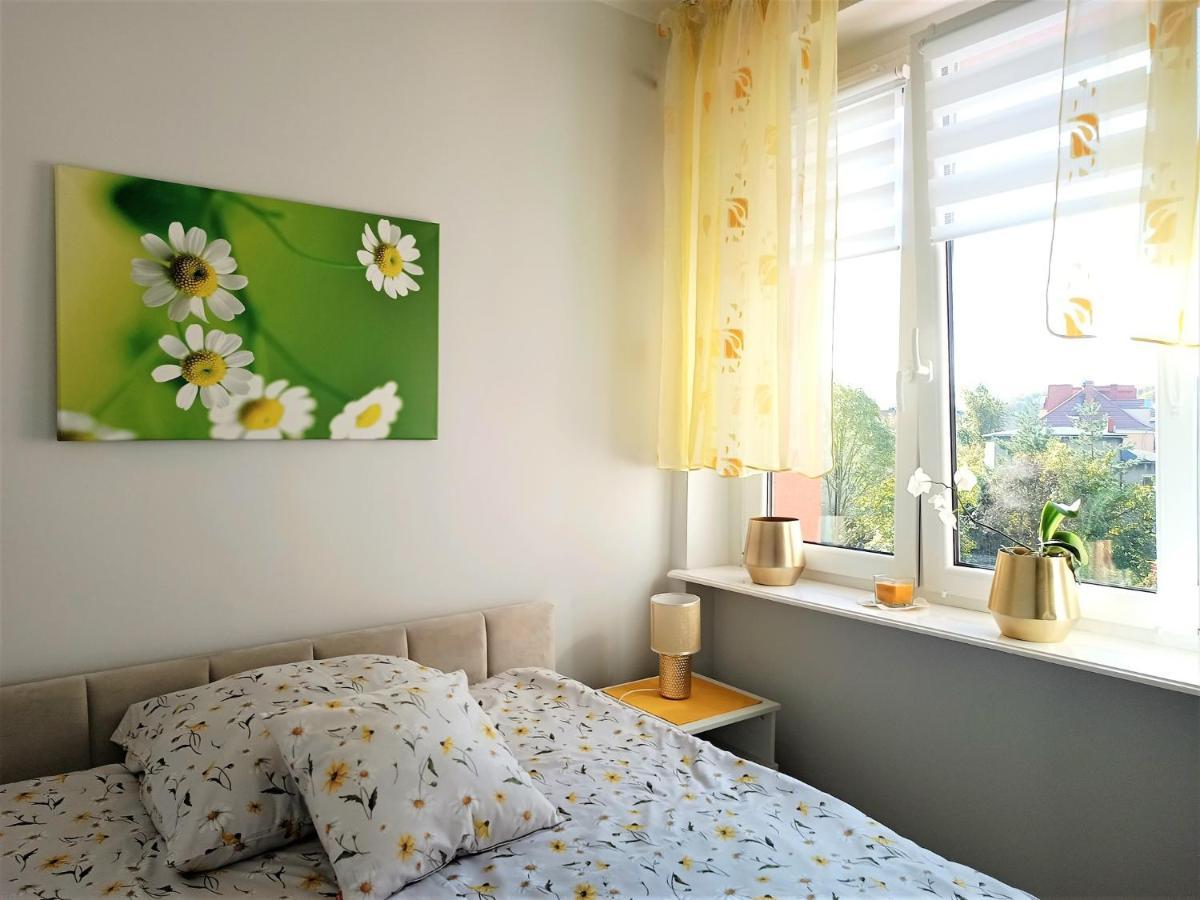 Szmaragdowy Apartament Przy Ulicy Opolskiej Tarnowskie Góry Esterno foto